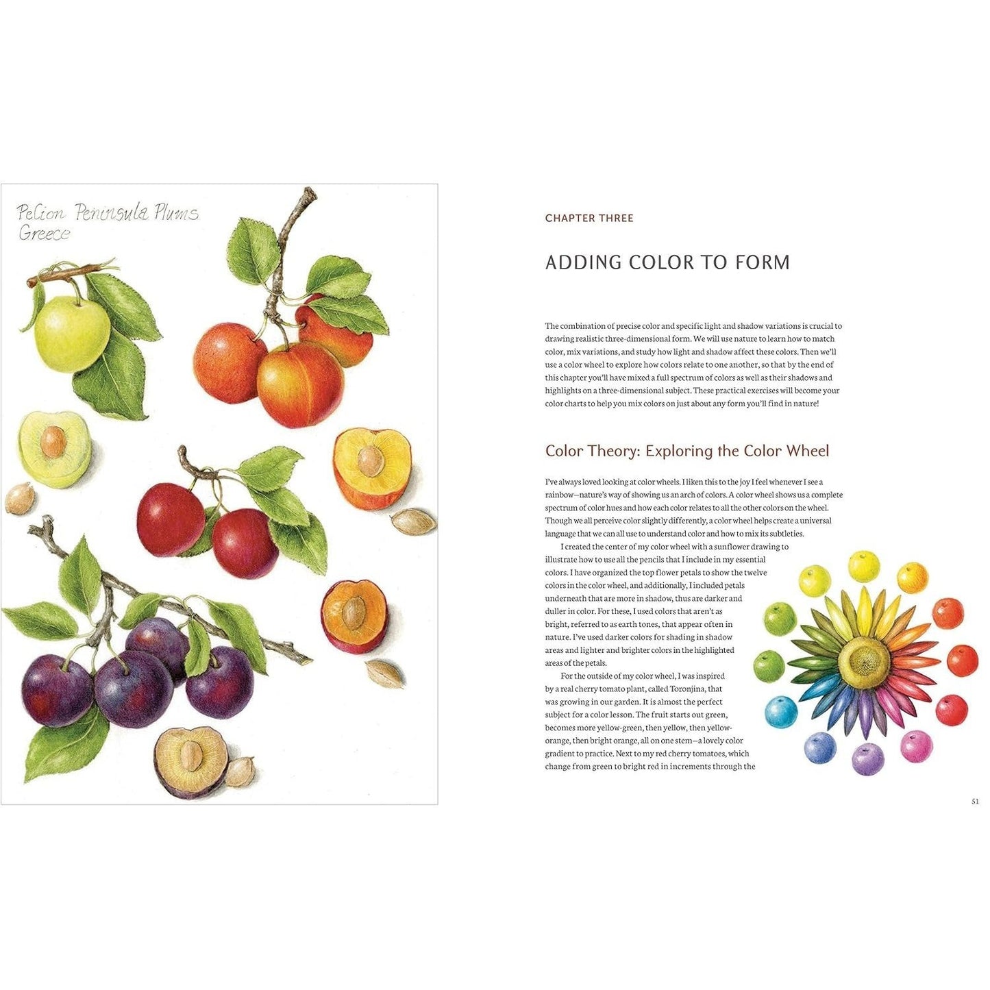 The Joy of Botanical Drawing: A Step-By-Step Guide to Drawing and Painting Flowers, Leaves, Fruit, and More