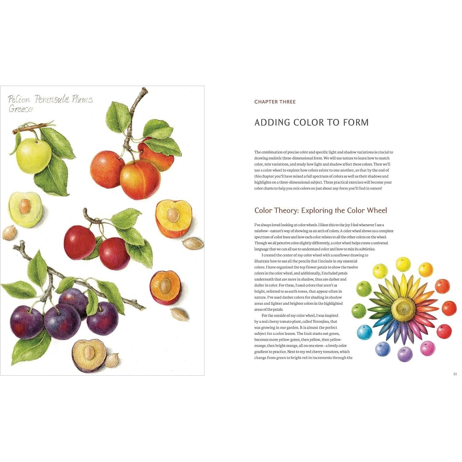 The Joy of Botanical Drawing: A Step-By-Step Guide to Drawing and Painting Flowers, Leaves, Fruit, and More