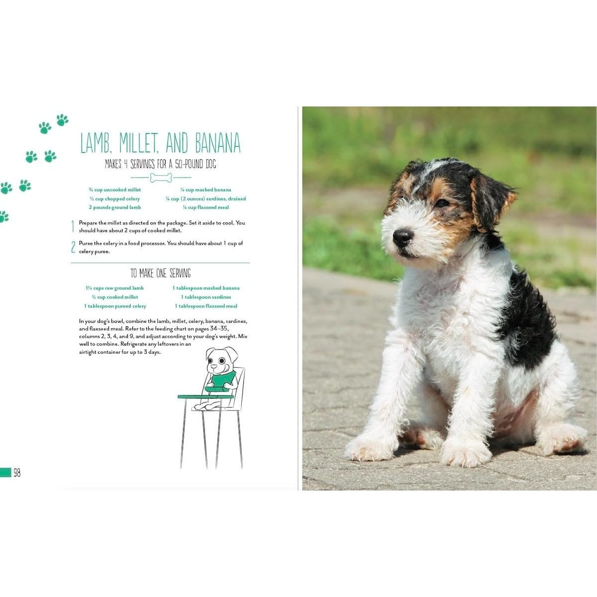 Home Cooking for Your Dog: 75 Holistic Recipes for a Healthier Dog