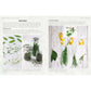 The Cook's Herb Garden: Grow, Harvest, Cook (Spiral Bound)