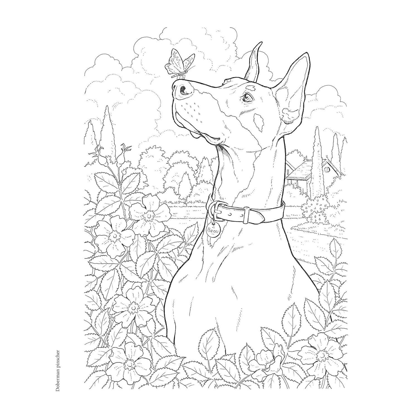 Creative Haven the Dog Lovers' Coloring Book