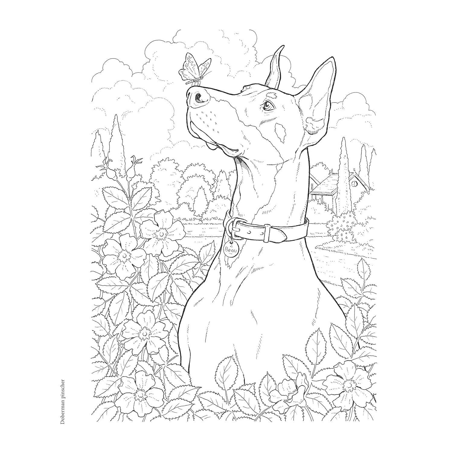 Creative Haven the Dog Lovers' Coloring Book