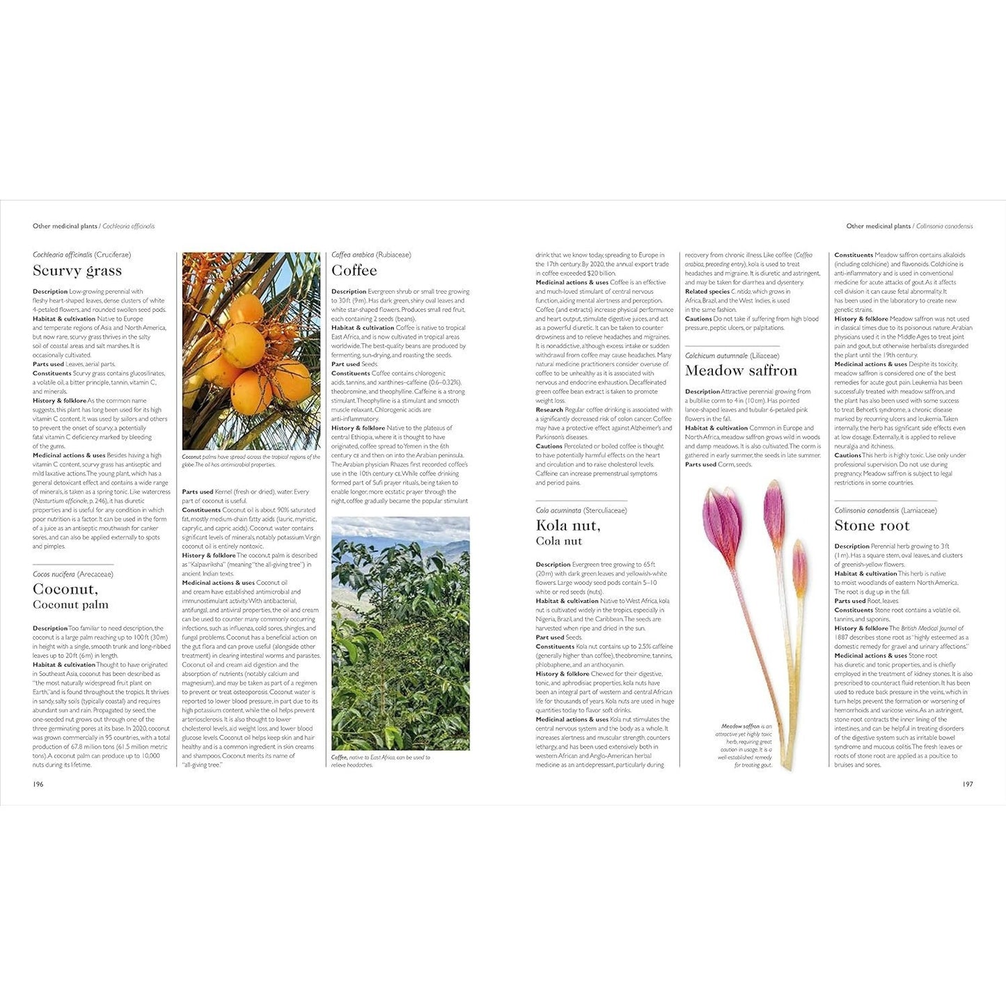 Encyclopedia of Herbal Medicine New Edition: 560 Herbs and Remedies for Common Ailments