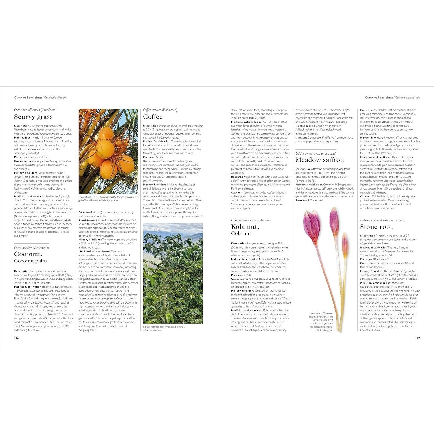 Encyclopedia of Herbal Medicine New Edition: 560 Herbs and Remedies for Common Ailments