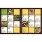 All New! Square Foot Gardening, 4th Edition: The World's Most Popular Growing Method to Harvest More Food from Less Space - Urban to Rural-Garden Anyw