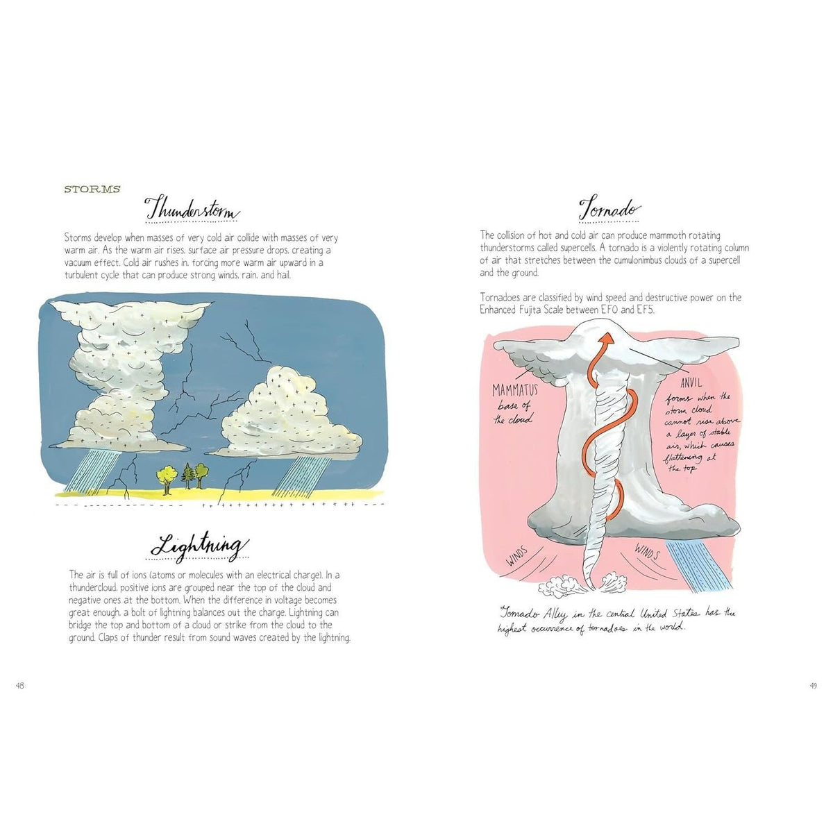 Nature Anatomy: The Curious Parts and Pieces of the Natural World