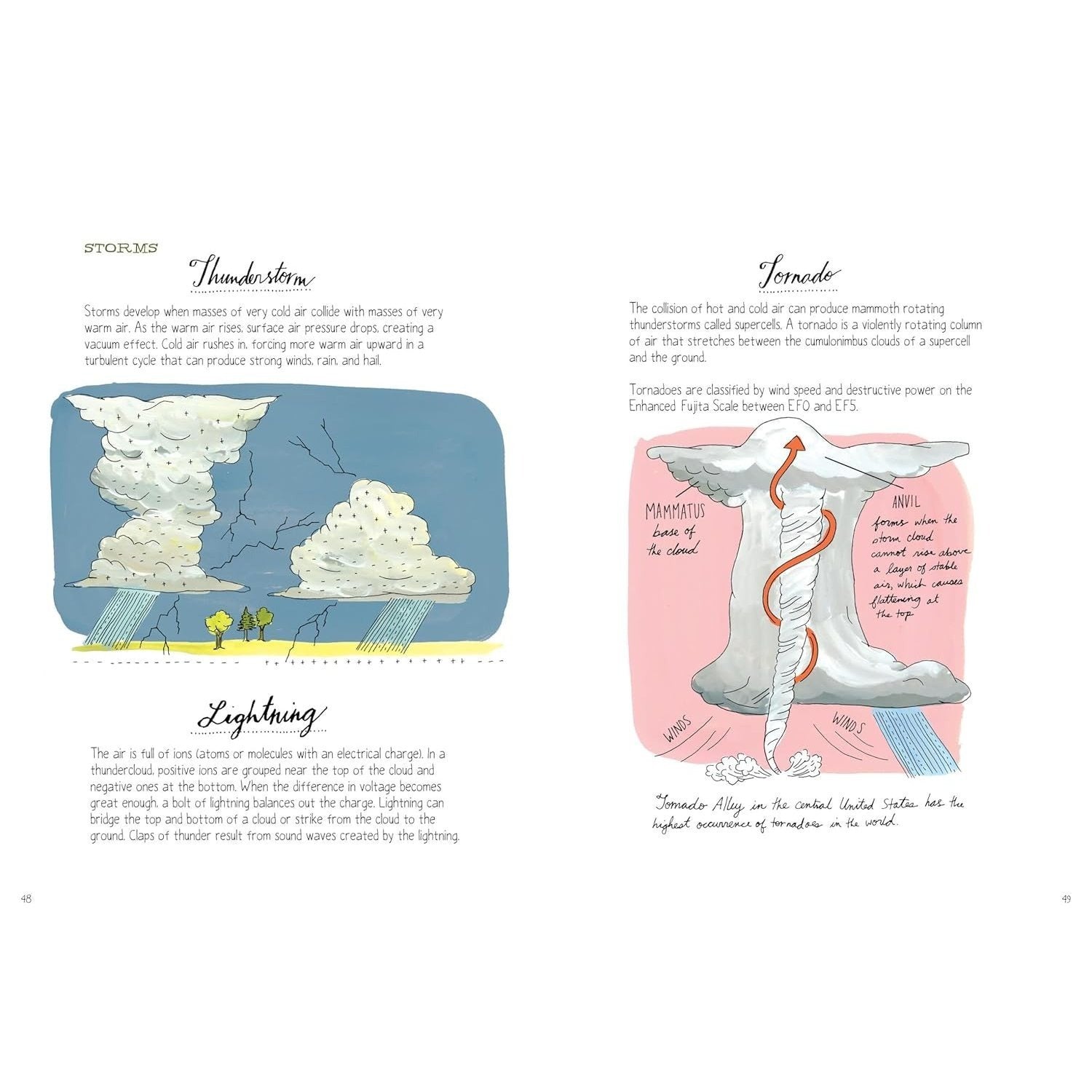 Nature Anatomy: The Curious Parts and Pieces of the Natural World