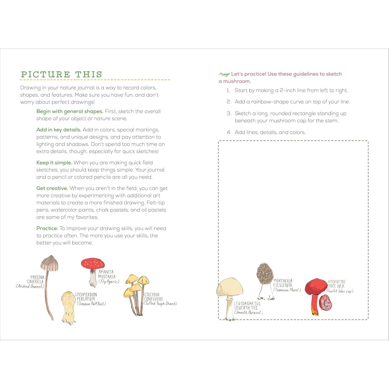 Exploring Nature Journal for Kids: Observe and Record the Outdoors