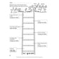 Daily Word Ladders: Grades 2-3: 100 Reproducible Word Study Lessons That Help Kids Boost Reading, Vocabulary, Spelling & Phonics Skills--Independently