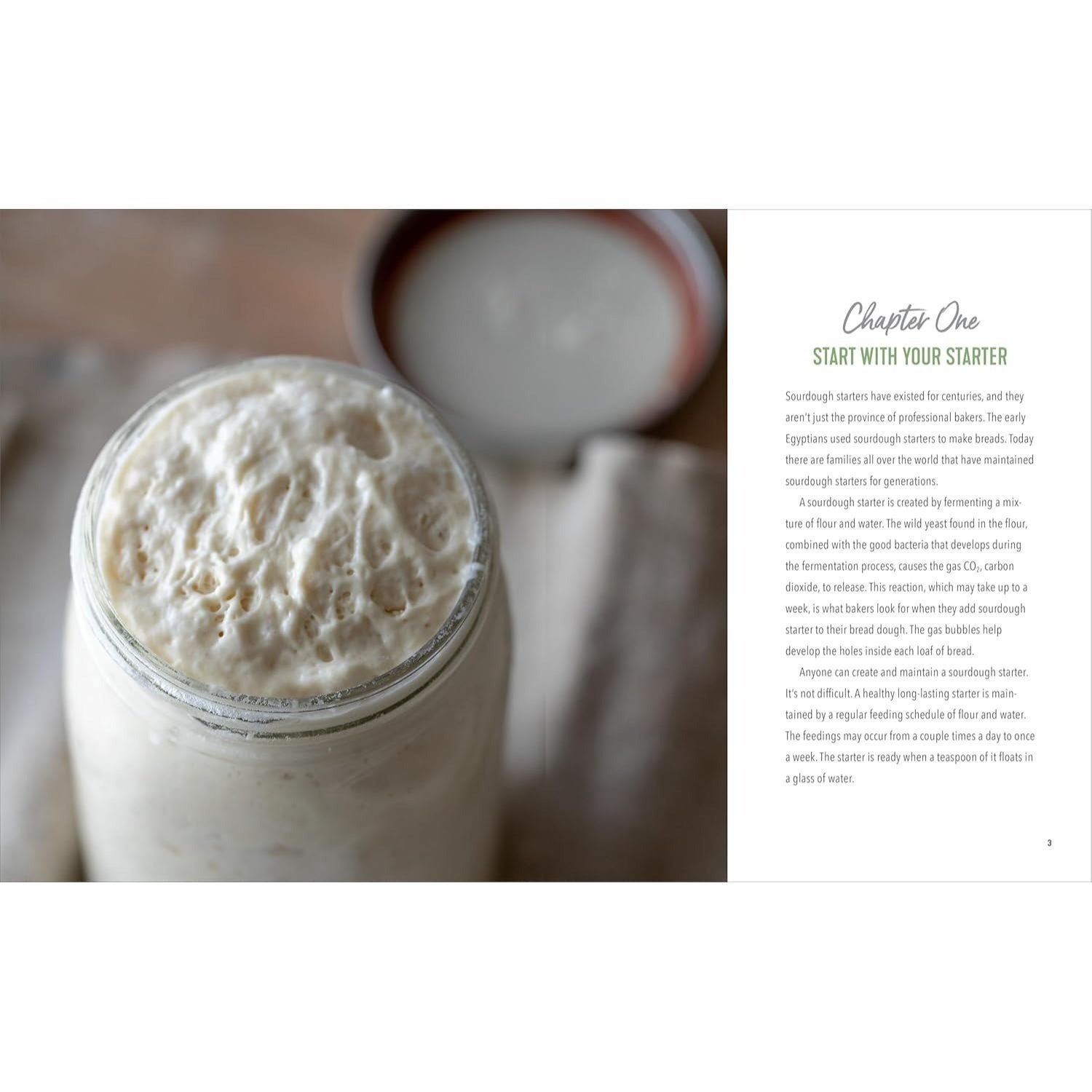 Starter Sourdough: The Step-By-Step Guide to Sourdough Starters, Baking Loaves, Baguettes, Pancakes, and More