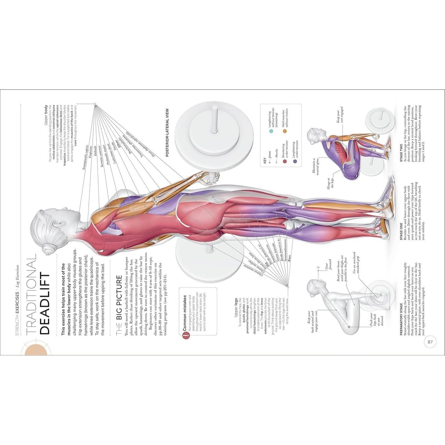 Science of Strength Training: Understand the Anatomy and Physiology to Transform Your Body (Spiral Bound)