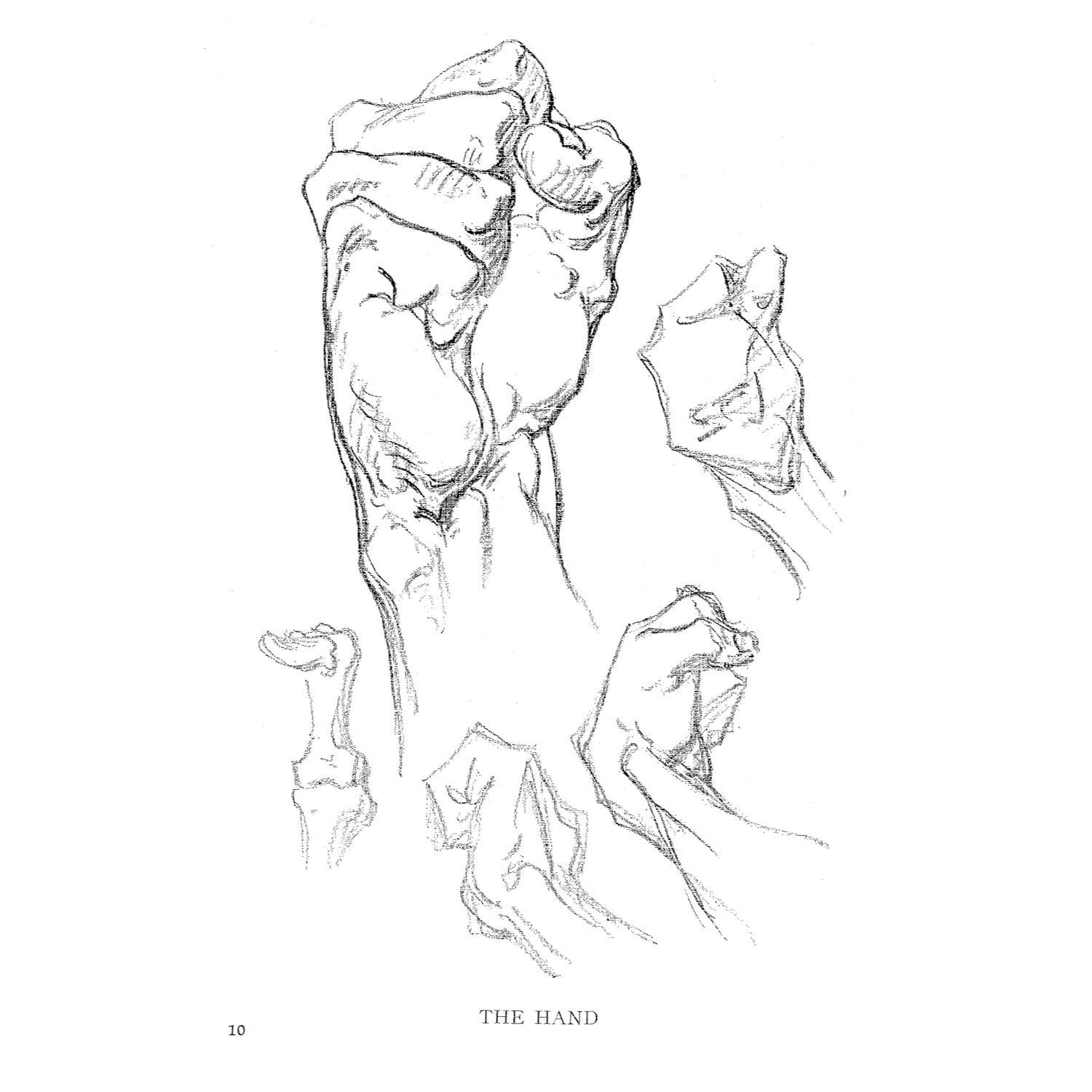 Constructive Anatomy: With Almost 500 Illustrations (Revised) (Dover Anatomy for Artists) (Spiral Bound)