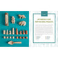 Whittling for Beginners: Step-By-Step Projects to Carve from Wood (Spiral Bound)
