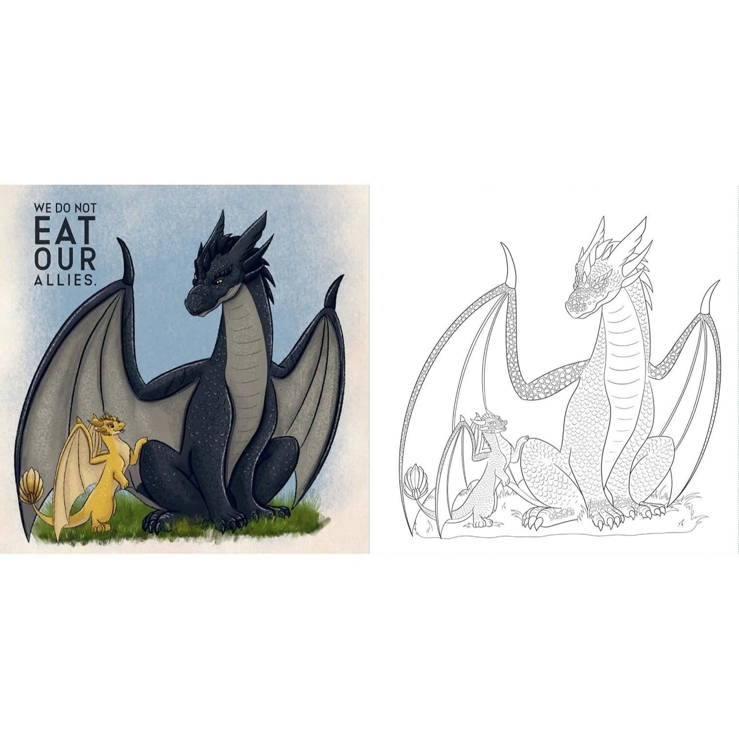 Fourth Wing: The Official Coloring Book