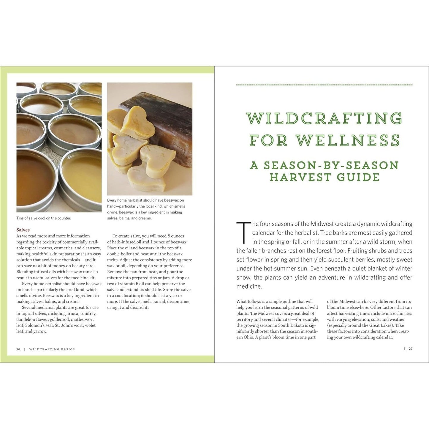 Midwest Medicinal Plants: Identify, Harvest, and Use 109 Wild Herbs for Health and Wellness (Medicinal Plants) (Spiral Bound)