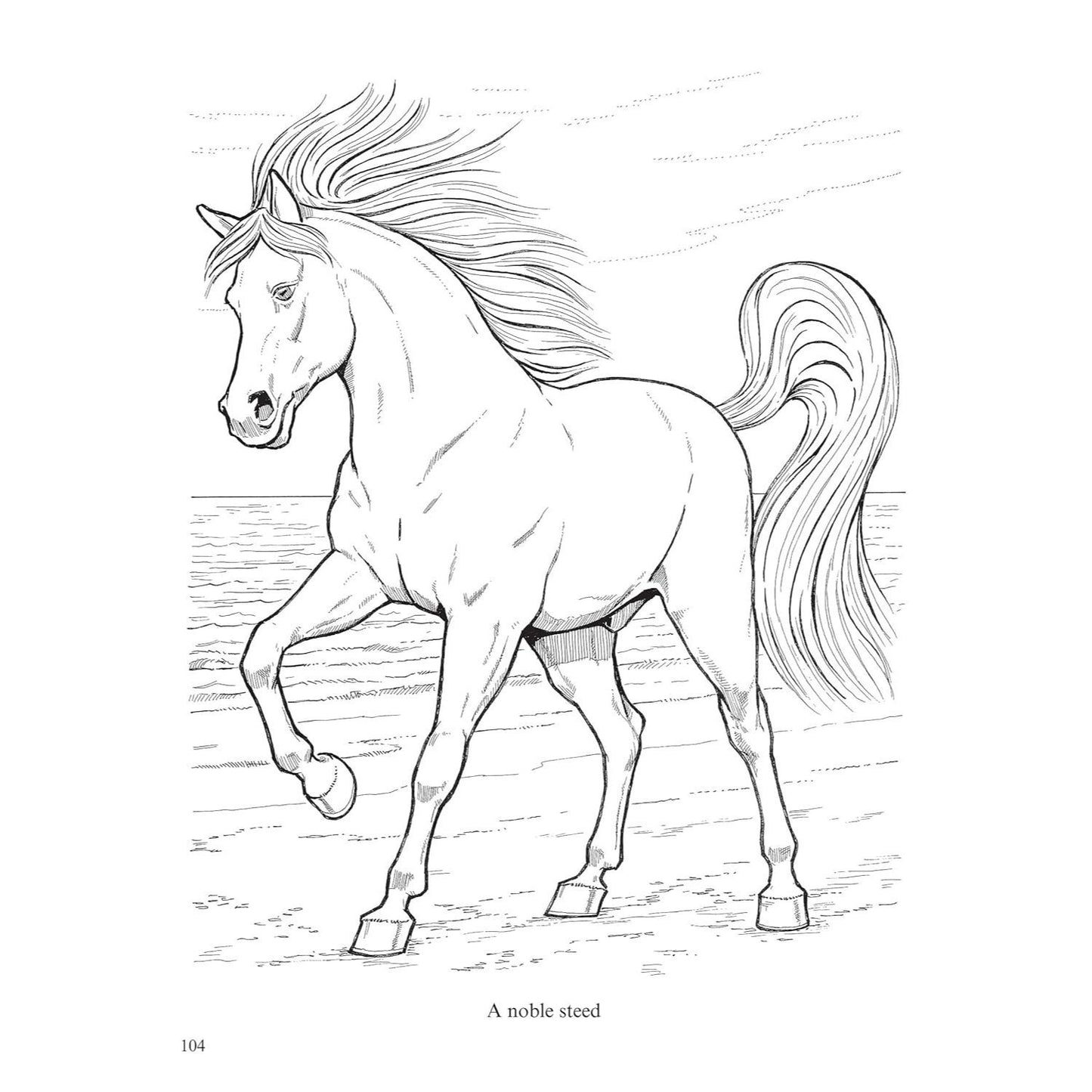 Big Book of Horses to Color