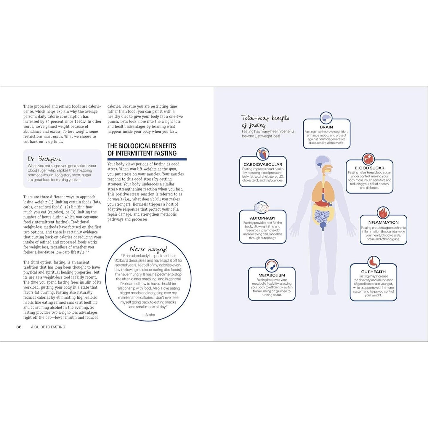 Intermittent Fasting Diet Guide and Cookbook: A Complete Guide to 16:8, Omad, 5:2, Alternate-Day, and More