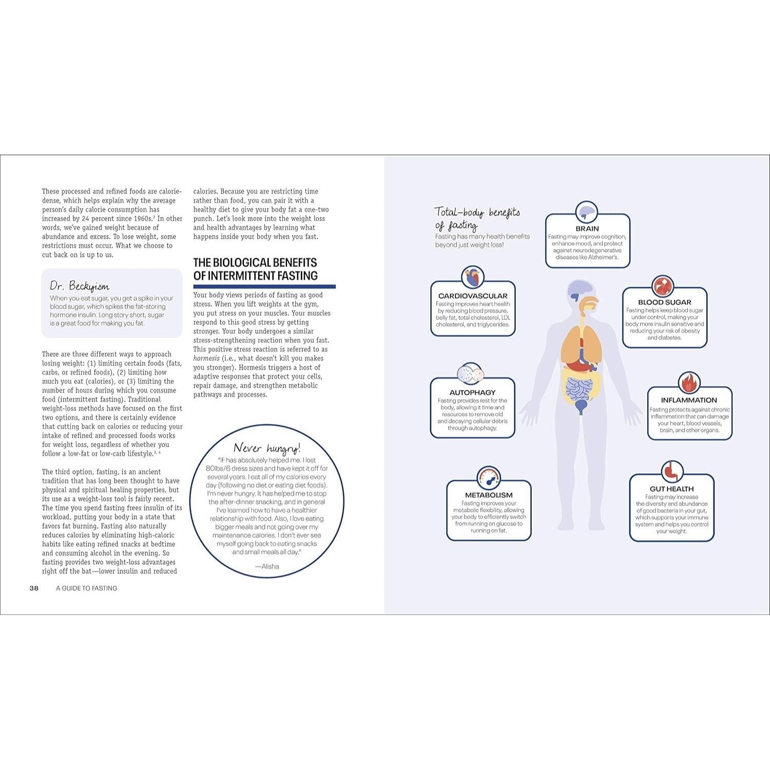 Intermittent Fasting Diet Guide and Cookbook: A Complete Guide to 16:8, Omad, 5:2, Alternate-Day, and More