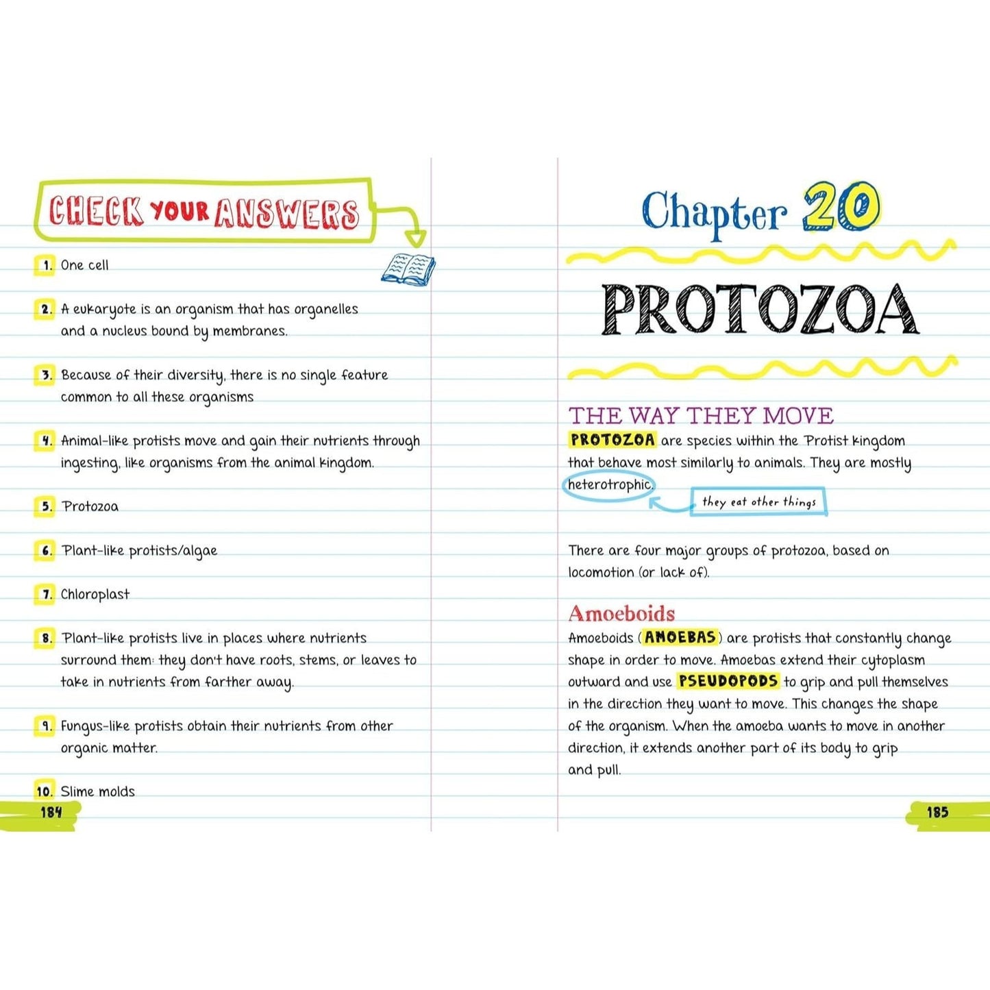 Everything You Need to Ace Biology in One Big Fat Notebook (Big Fat Notebooks) (Spiral Bound)