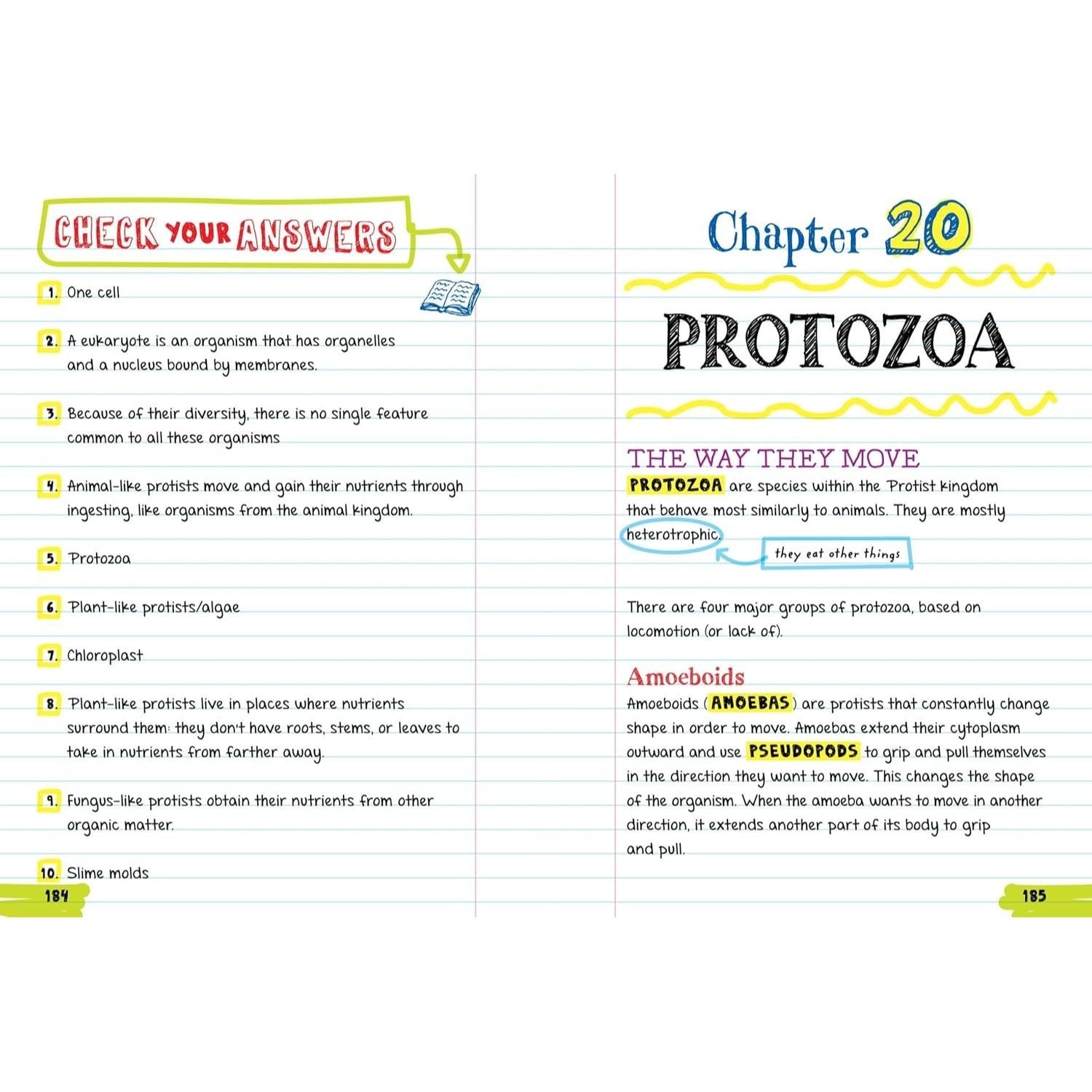 Everything You Need to Ace Biology in One Big Fat Notebook (Big Fat Notebooks) (Spiral Bound)