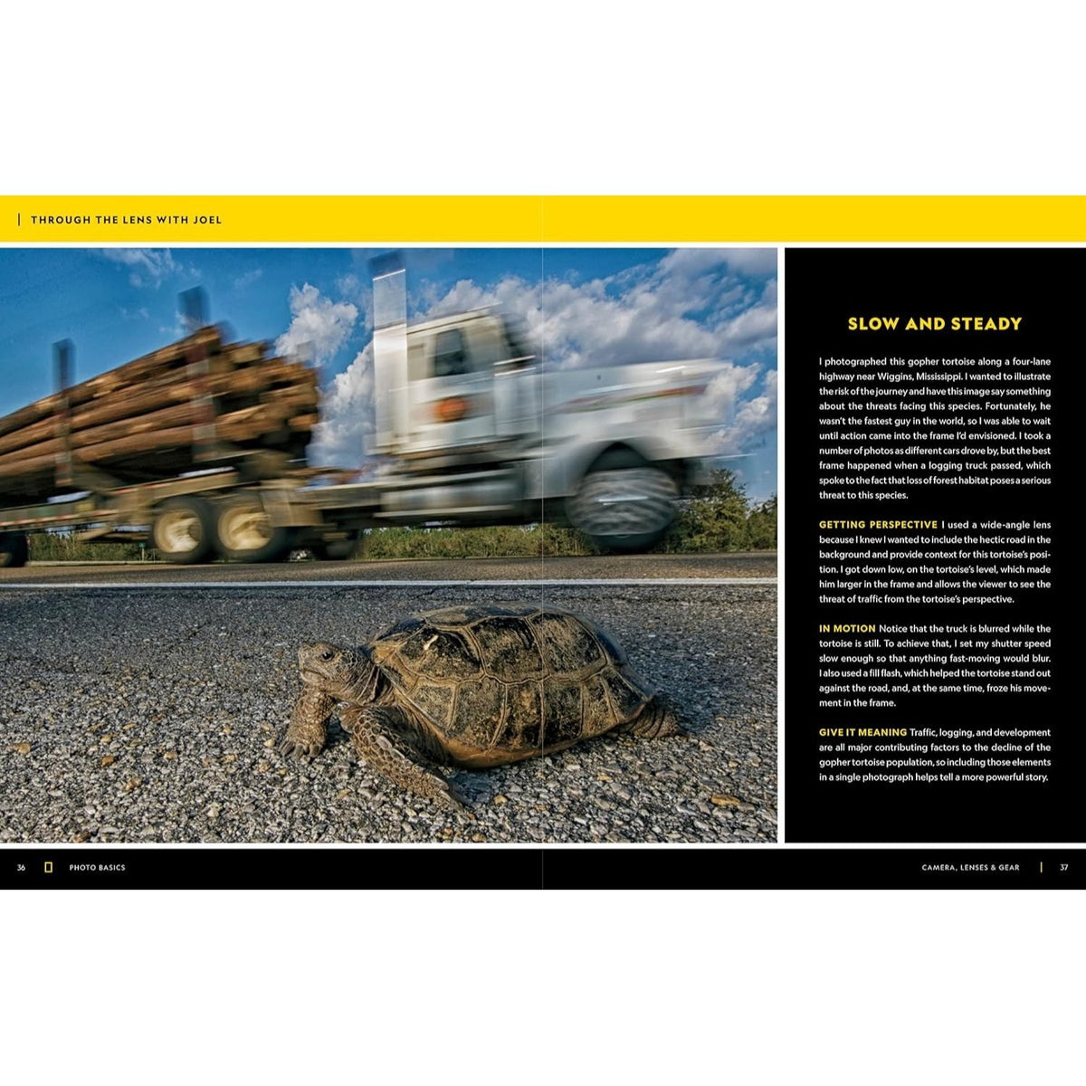 National Geographic Photo Basics: The Ultimate Beginner's Guide to Great Photography (Spiral Bound)
