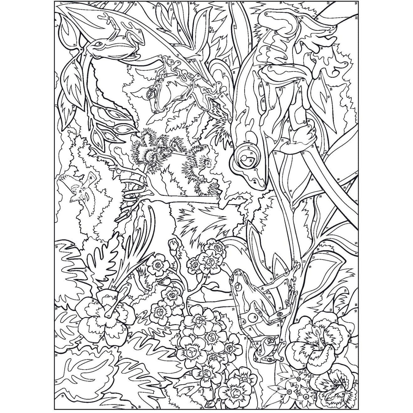 Creative Haven Wonders of Nature Color by Number