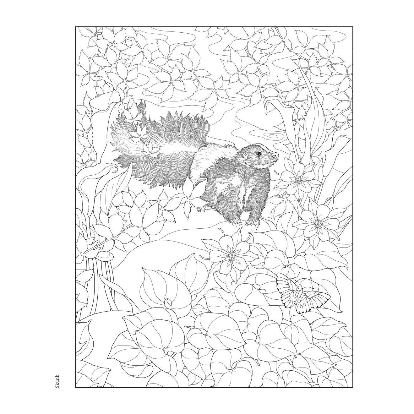 Creative Haven Forest & Woodland Wildlife Coloring Book