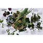 Ever-Green Vietnamese: Super-Fresh Recipes, Starring Plants from Land and Sea [A Plant-Based Cookbook] (Spiral Bound)