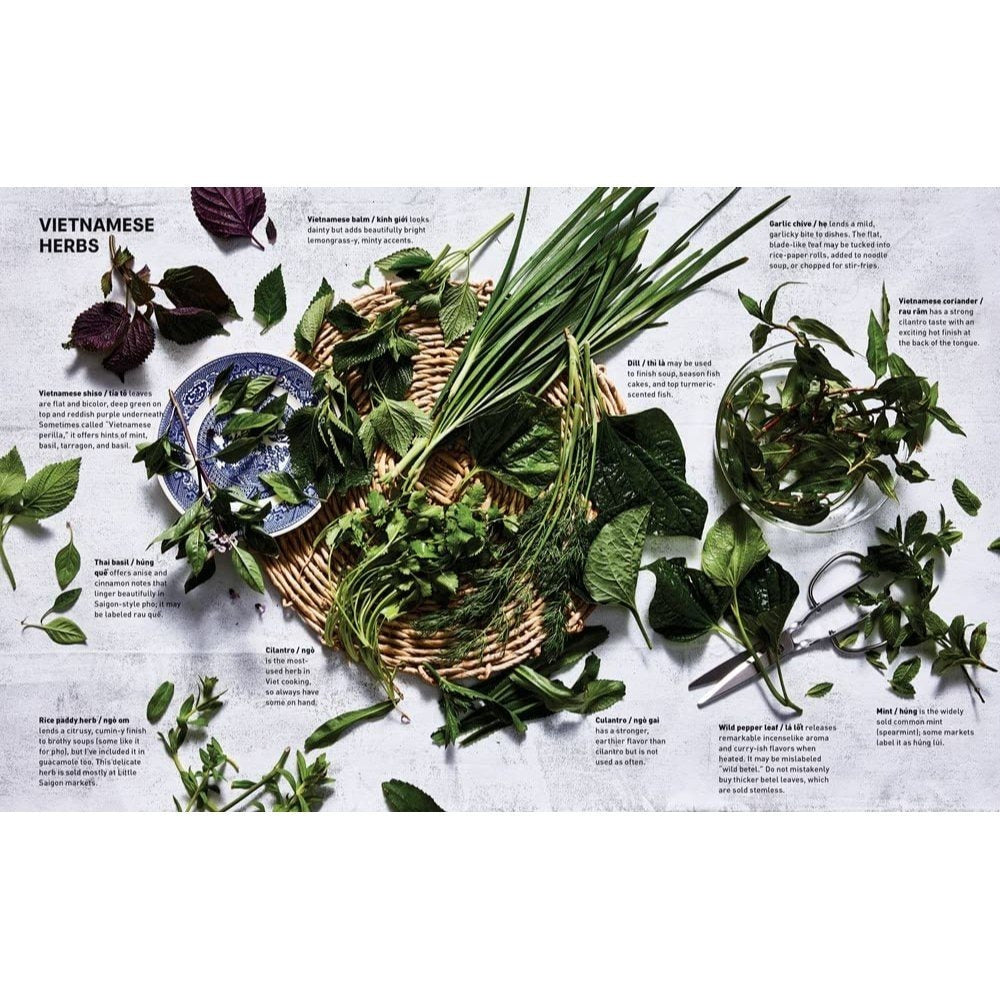 Ever-Green Vietnamese: Super-Fresh Recipes, Starring Plants from Land and Sea [A Plant-Based Cookbook] (Spiral Bound)