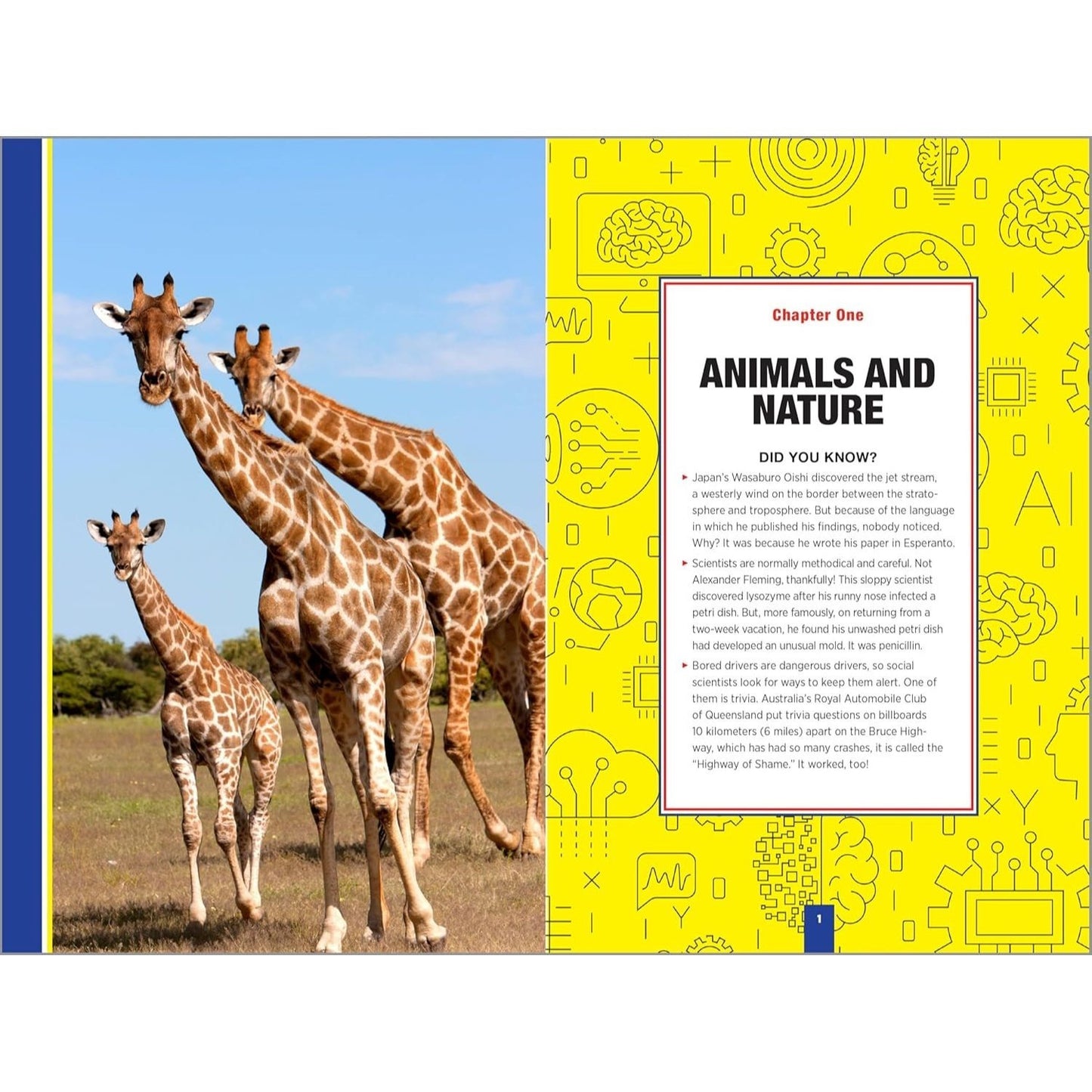 The Brain Boosting Trivia Book for Adults: 750+ Questions to Help You Flex Your Mind Muscles