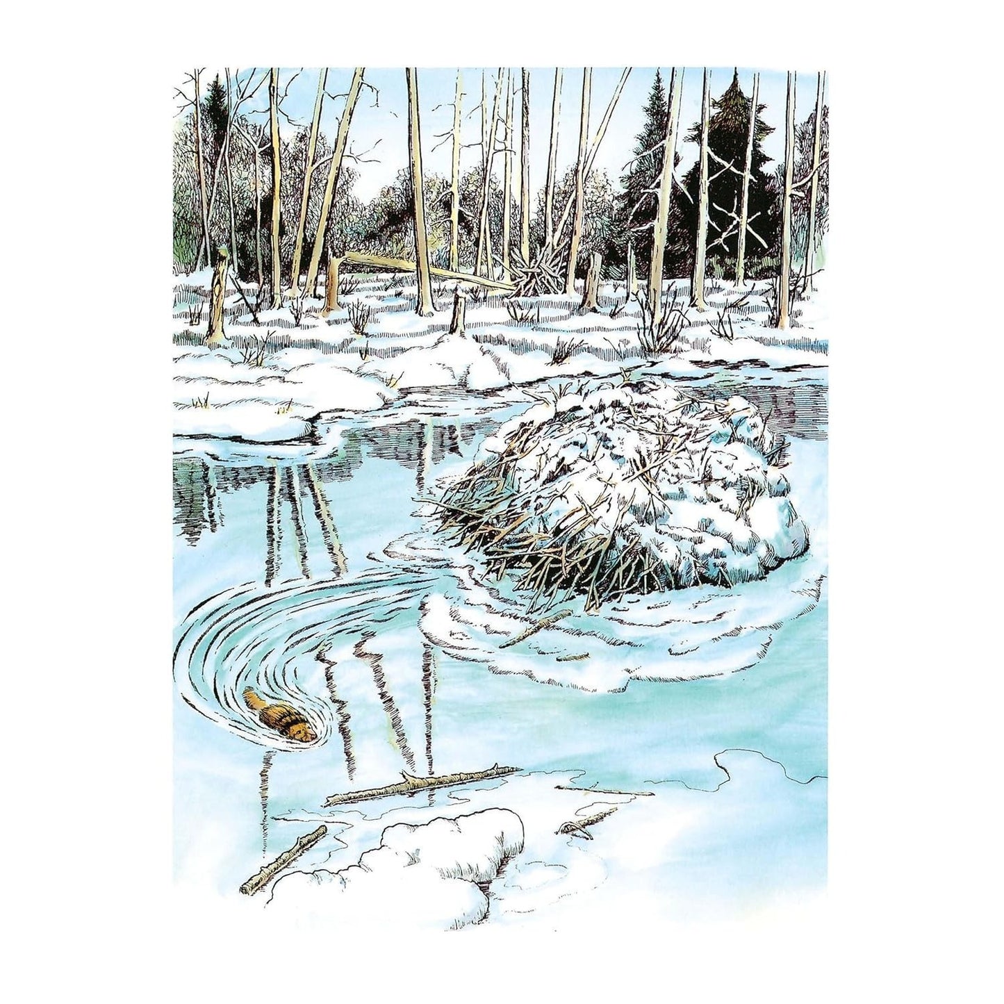 National Parks Coloring Book
