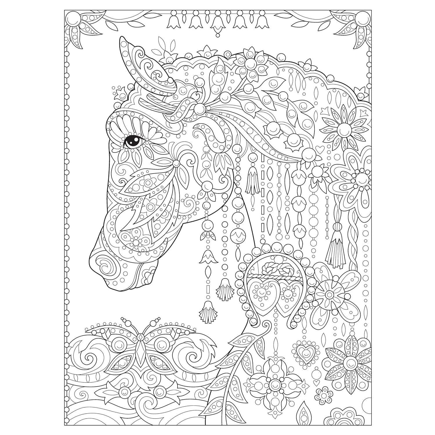 Creative Haven Dream Horses Coloring Book