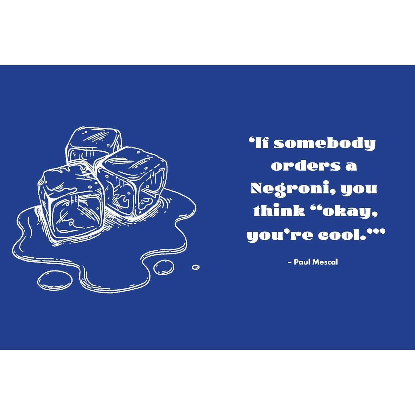 The Little Book of Negroni