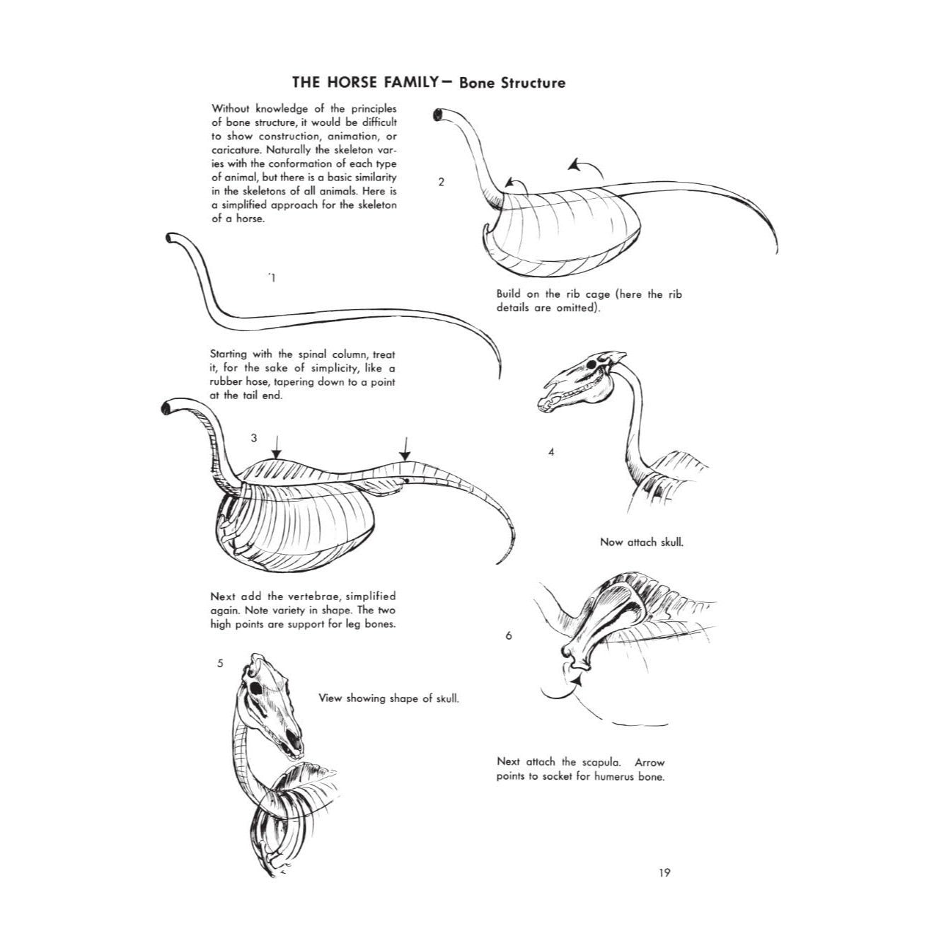 The Art of Animal Drawing: Construction, Action Analysis, Caricature (Revised)