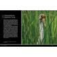 National Geographic Photo Basics: The Ultimate Beginner's Guide to Great Photography (Spiral Bound)