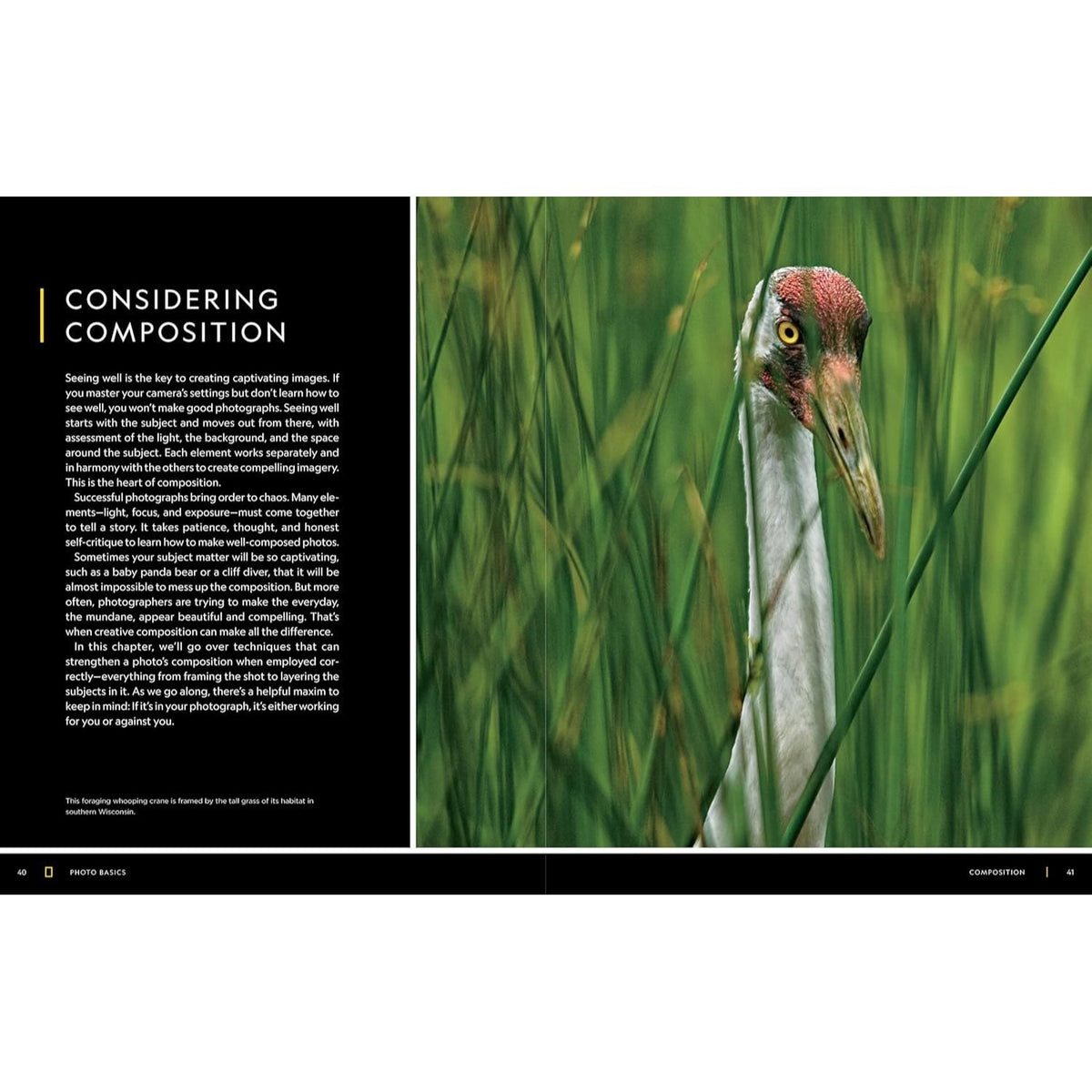 National Geographic Photo Basics: The Ultimate Beginner's Guide to Great Photography (Spiral Bound)