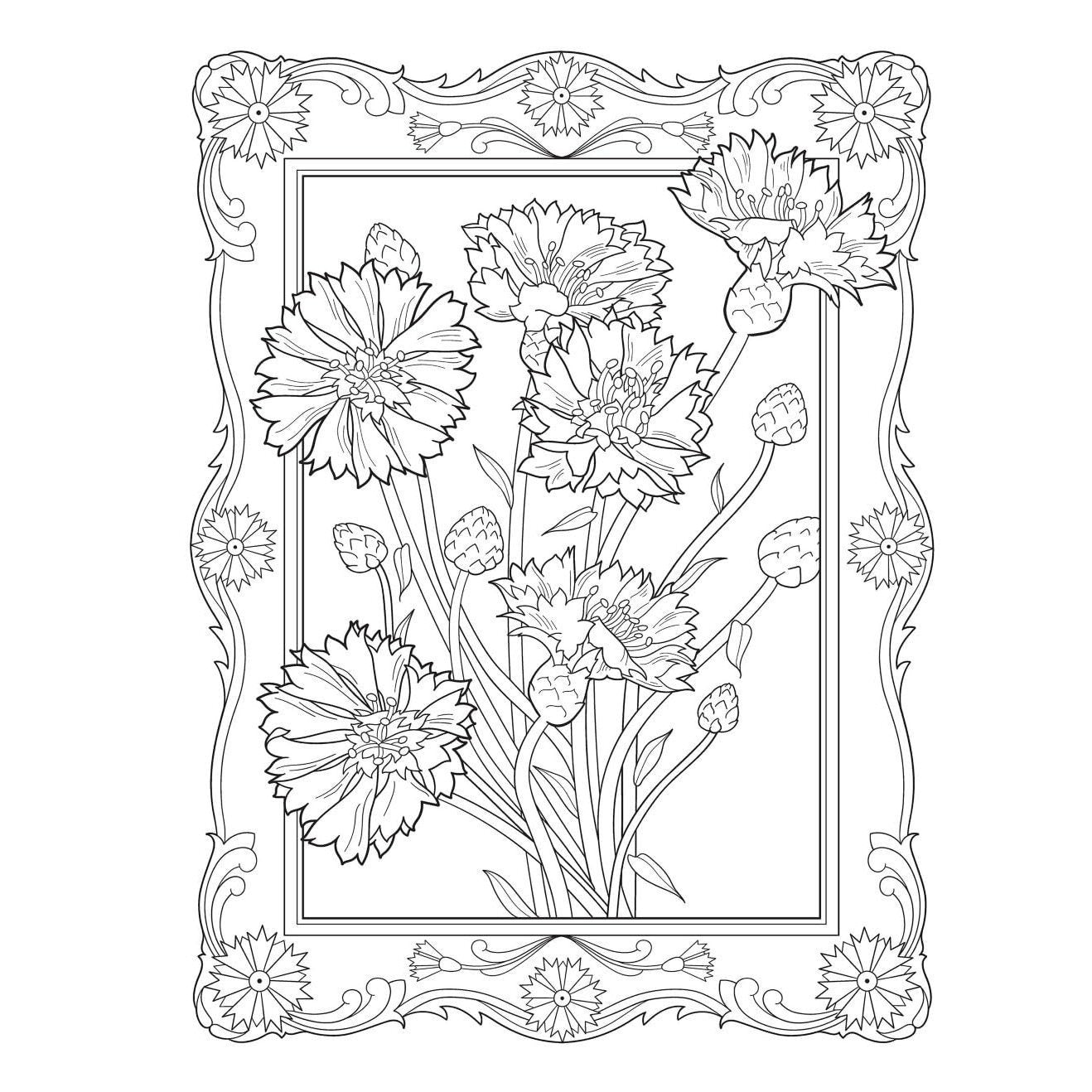 Creative Haven Flowers of the World Coloring Book