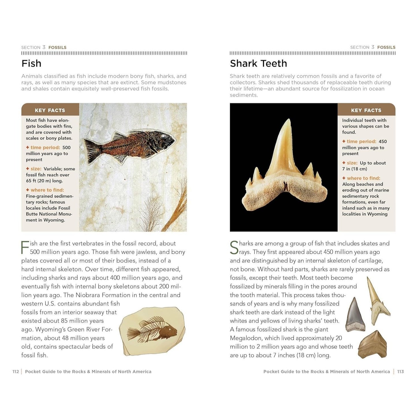 National Geographic Pocket Guide to Rocks and Minerals of North America (Pocket Guides) (Spiral Bound)
