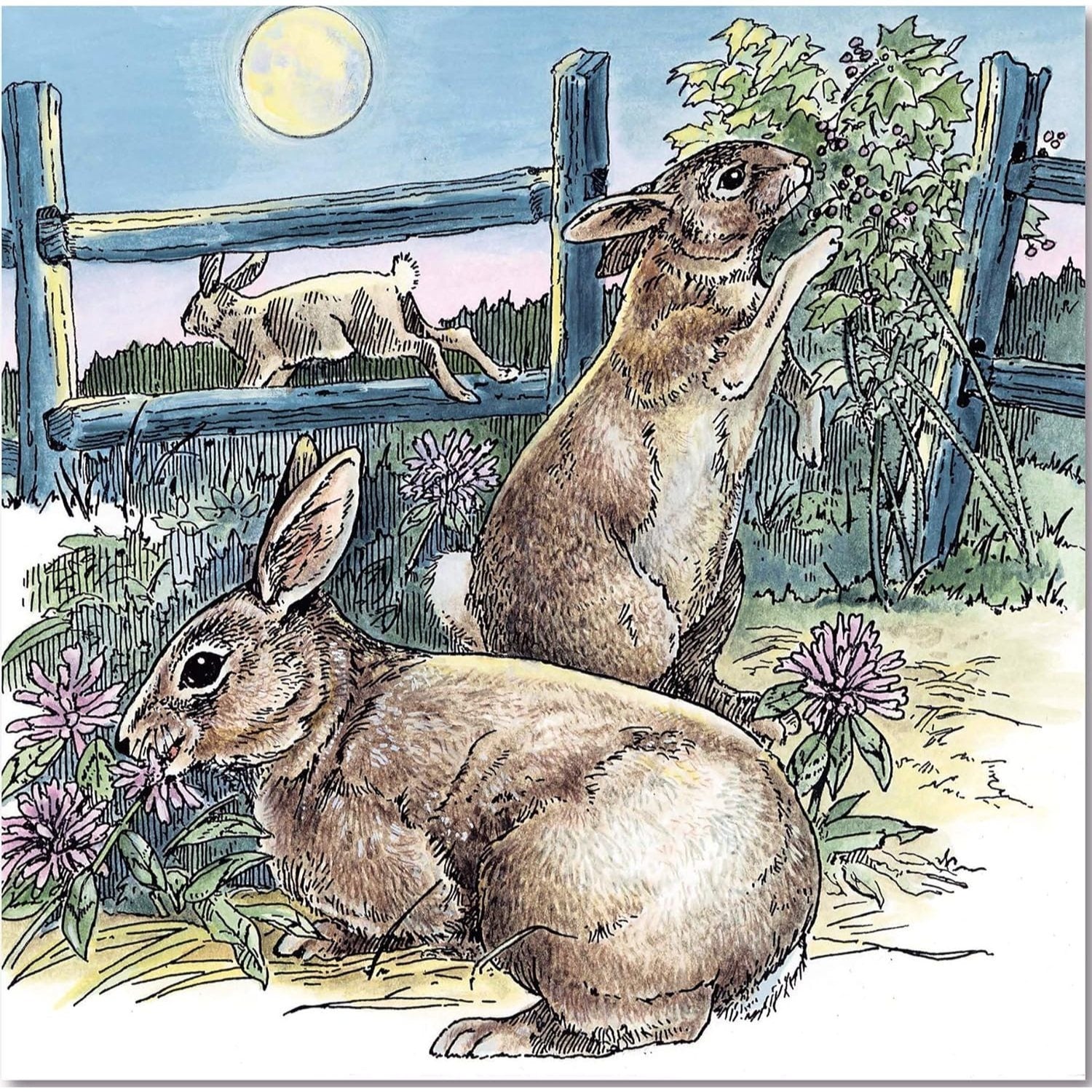 A Walk in the Woods Coloring Book