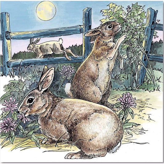 A Walk in the Woods Coloring Book