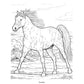 Wonderful World of Horses Coloring Book (Spiral Bound)