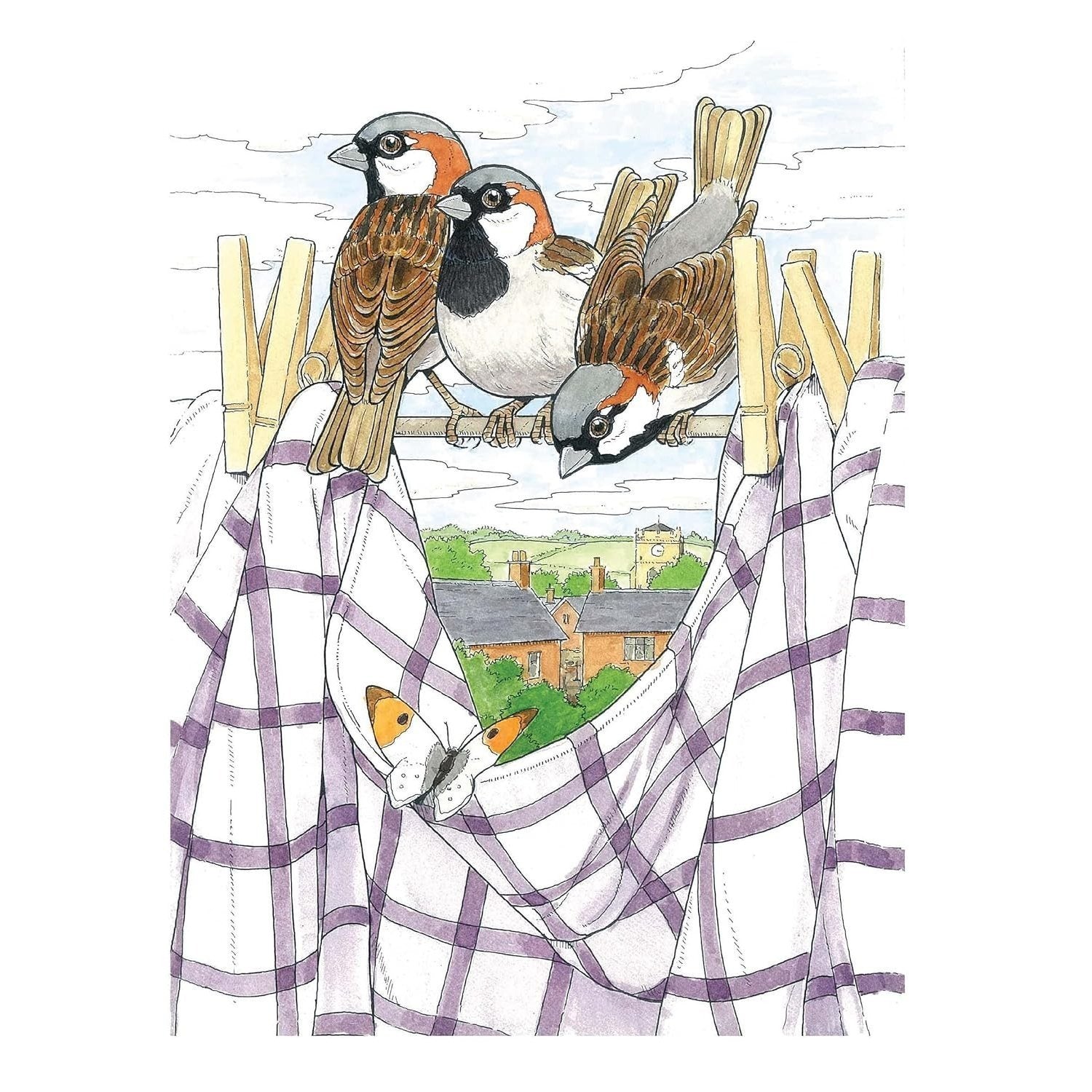 Creative Haven Glorious Songbirds Coloring Book
