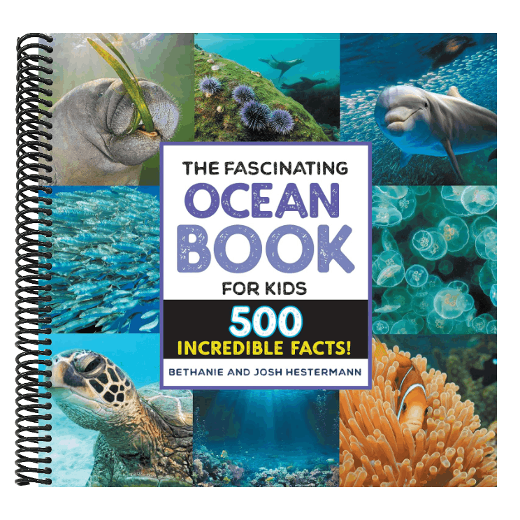 The Fascinating Ocean Book for Kids: 500 Incredible Facts!