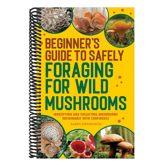 Beginner's Guide to Safely Foraging for Wild Mushrooms: Identifying and Collecting Mushrooms Sustainably with Confidence