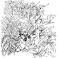 A Walk in the Woods Coloring Book