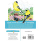 Creative Haven Glorious Songbirds Coloring Book