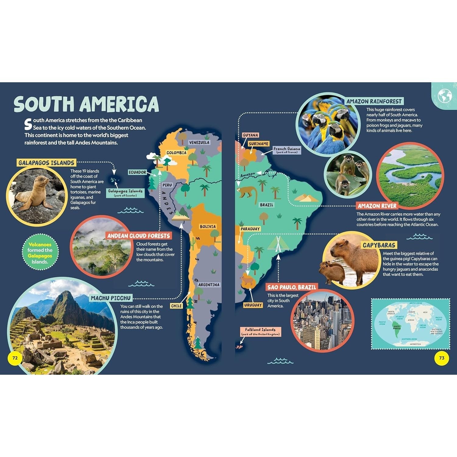 National Geographic Little Kids First Encyclopedia of Almost Everything