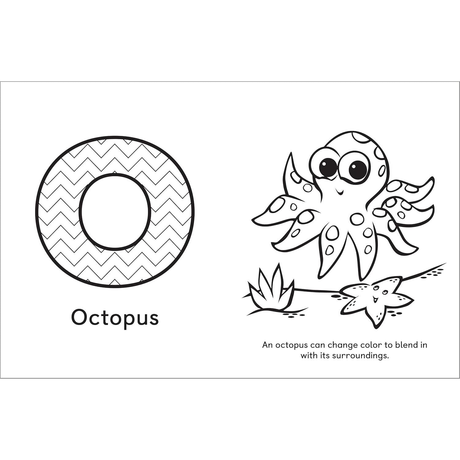 A is for Animals!: Preschool Coloring Book (Spiral Bound)