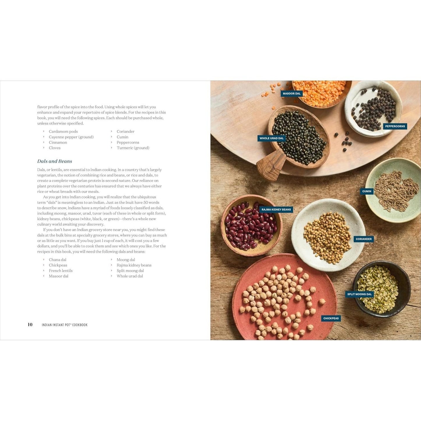 Indian Instant Pot(r) Cookbook: Traditional Indian Dishes Made Easy and Fast (Spiral Bound)