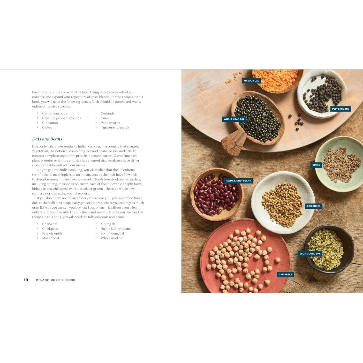 Indian Instant Pot(r) Cookbook: Traditional Indian Dishes Made Easy and Fast (Spiral Bound)